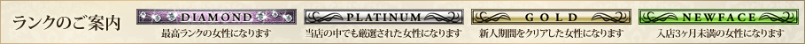 ランクのご案内